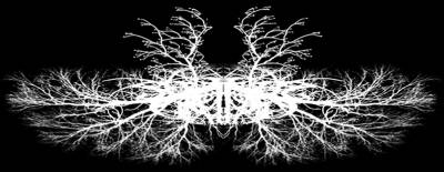 logo The Descent Of The Sun